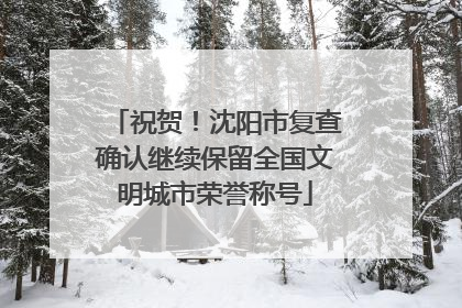 祝贺！沈阳市复查确认继续保留全国文明城市荣誉称号