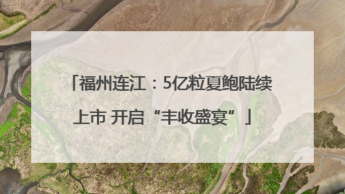 福州连江：5亿粒夏鲍陆续上市 开启“丰收盛宴”