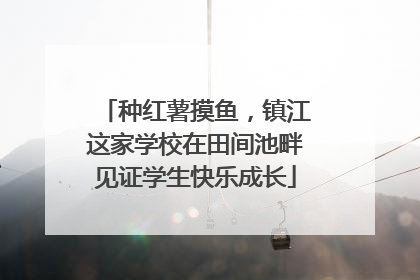 种红薯摸鱼，镇江这家学校在田间池畔见证学生快乐成长