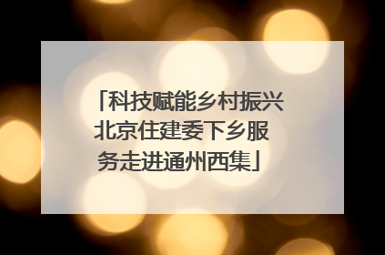 科技赋能乡村振兴 北京住建委下乡服务走进通州西集