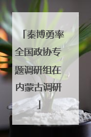 秦博勇率全国政协专题调研组在内蒙古调研