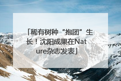 稀有树种“抱团”生长！沈阳成果在Nature杂志发表