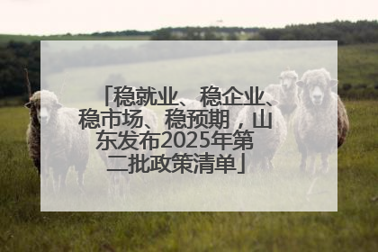 稳就业、稳企业、稳市场、稳预期，山东发布2025年第二批政策清单