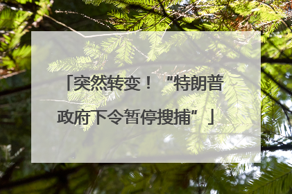 突然转变！“特朗普政府下令暂停搜捕”