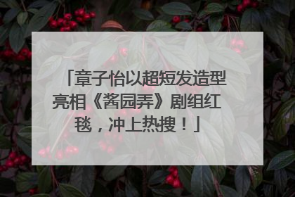 章子怡以超短发造型亮相《酱园弄》剧组红毯，冲上热搜！