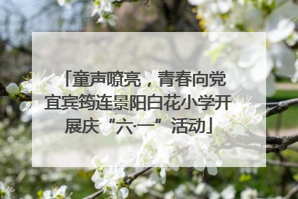 童声嘹亮，青春向党 宜宾筠连景阳白花小学开展庆“六·一”活动