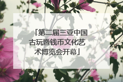 第二届三亚中国古玩暨钱币文化艺术博览会开幕