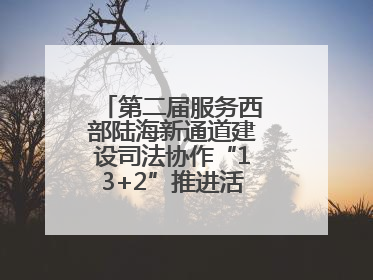 第二届服务西部陆海新通道建设司法协作“13+2”推进活动在南宁举办
