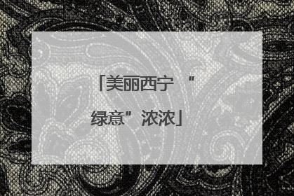 美丽西宁 “绿意”浓浓