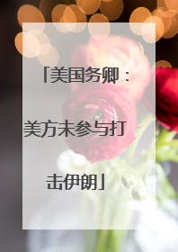 美国务卿：美方未参与打击伊朗
