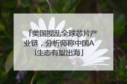 美国搅乱全球芯片产业链，分析师称中国AI生态有望出海