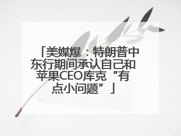 美媒爆：特朗普中东行期间承认自己和苹果CEO库克“有点小问题”