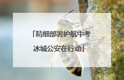精细部署护航中考 冰城公安在行动