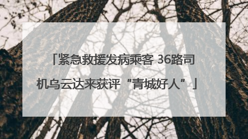 紧急救援发病乘客 36路司机乌云达来获评“青城好人”