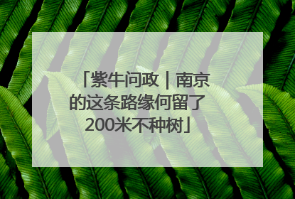 紫牛问政｜南京的这条路缘何留了200米不种树