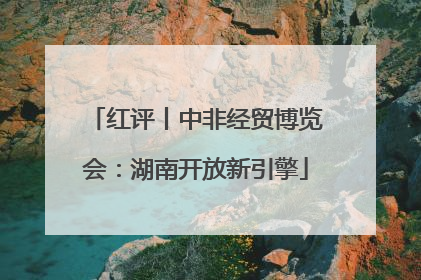 红评丨中非经贸博览会：湖南开放新引擎