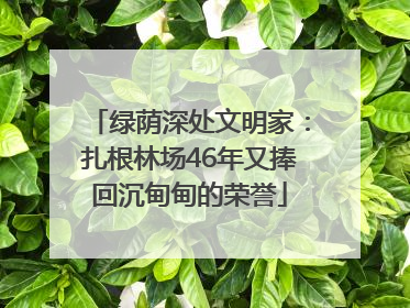绿荫深处文明家：扎根林场46年又捧回沉甸甸的荣誉