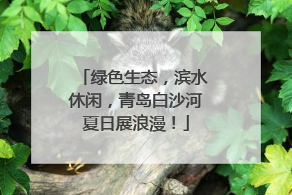 绿色生态，滨水休闲，青岛白沙河夏日展浪漫！