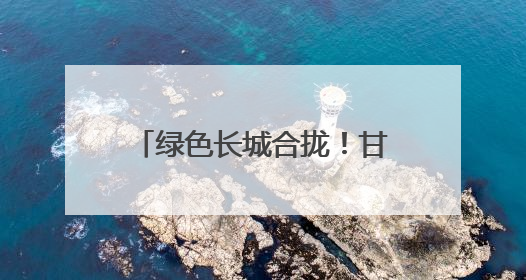绿色长城合拢！甘肃民勤380公里锁边林带缚住沙海