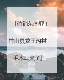 俏销东南亚！竹山县龙王沟村毛木耳火了