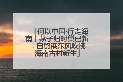 何以中国·行走海南丨燕子归时巢已新：自贸港东风吹拂 海南古村新生