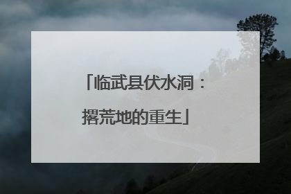 临武县伏水洞：撂荒地的重生