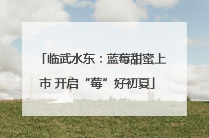 临武水东：蓝莓甜蜜上市 开启“莓”好初夏