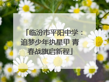 临汾市平阳中学：追梦少年执星甲 青春战旗启新程