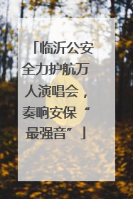 临沂公安全力护航万人演唱会，奏响安保“最强音”