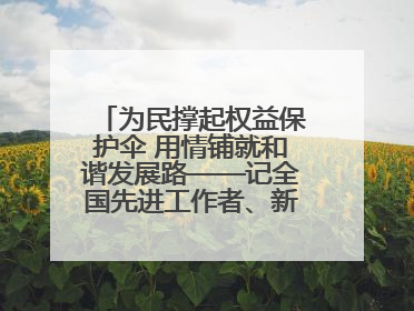 为民撑起权益保护伞 用情铺就和谐发展路——记全国先进工作者、新区项目建设中心干部卢小勇
