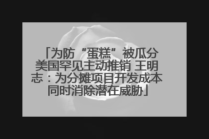 为防“蛋糕”被瓜分 美国罕见主动推销 王明志：为分摊项目开发成本同时消除潜在威胁