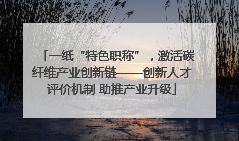 一纸“特色职称”，激活碳纤维产业创新链——创新人才评价机制 助推产业升级