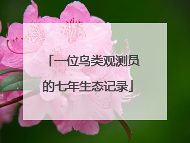 一位鸟类观测员的七年生态记录