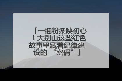 一捆粉条映初心！大别山这些红色故事里藏着纪律建设的 “密码”
