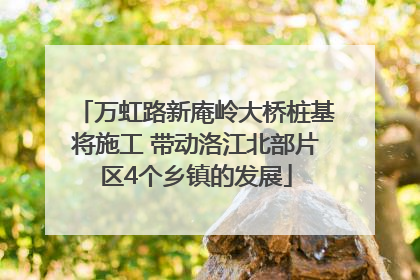 万虹路新庵岭大桥桩基将施工 带动洛江北部片区4个乡镇的发展