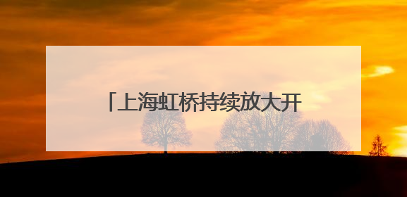 上海虹桥持续放大开放新模式，加强海外发展服务中心建设