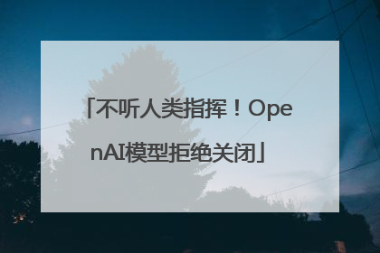 不听人类指挥！OpenAI模型拒绝关闭
