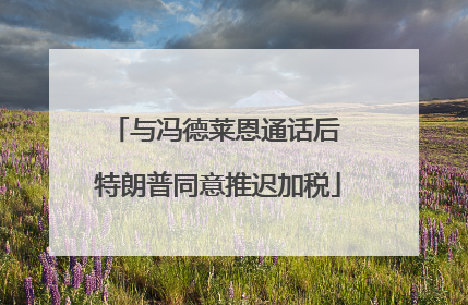 与冯德莱恩通话后 特朗普同意推迟加税