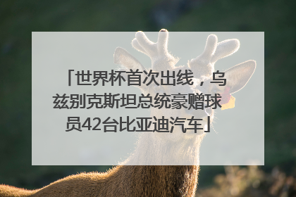 世界杯首次出线，乌兹别克斯坦总统豪赠球员42台比亚迪汽车