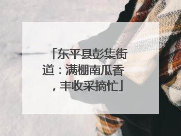 东平县彭集街道：满棚南瓜香，丰收采摘忙