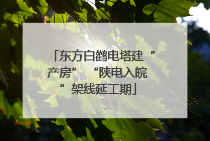东方白鹳电塔建“产房” “陕电入皖”架线延工期