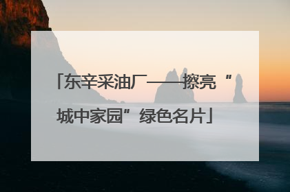 东辛采油厂——擦亮“城中家园”绿色名片