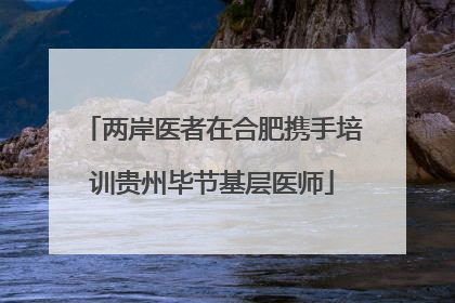 两岸医者在合肥携手培训贵州毕节基层医师