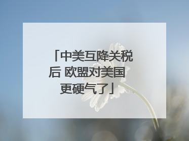 中美互降关税后 欧盟对美国更硬气了