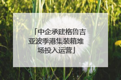 中企承建格鲁吉亚波季港集装箱堆场投入运营