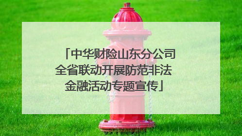 中华财险山东分公司全省联动开展防范非法金融活动专题宣传