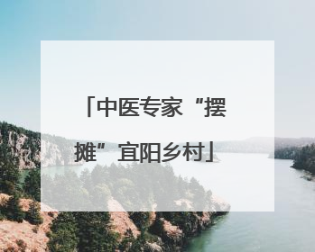 中医专家“摆摊”宜阳乡村