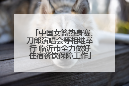 中国女篮热身赛、刀郎演唱会等相继举行 临沂市全力做好住宿餐饮保障工作