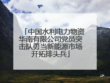 中国水利电力物资华南有限公司党员突击队勇当新能源市场开拓排头兵