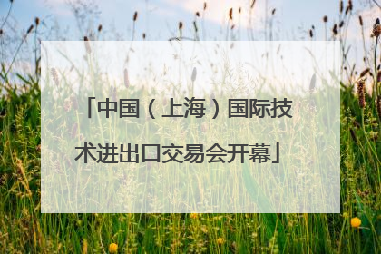 中国（上海）国际技术进出口交易会开幕